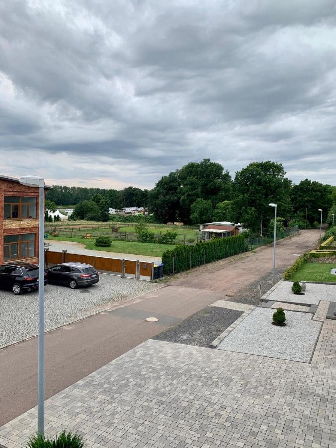 Ferienwohnung Zur Dexter-Zucht Coswig Coswig (Anhalt) Exterior foto