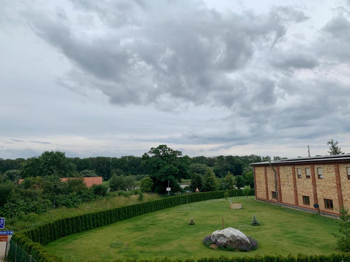 Ferienwohnung Zur Dexter-Zucht Coswig Coswig (Anhalt) Exterior foto